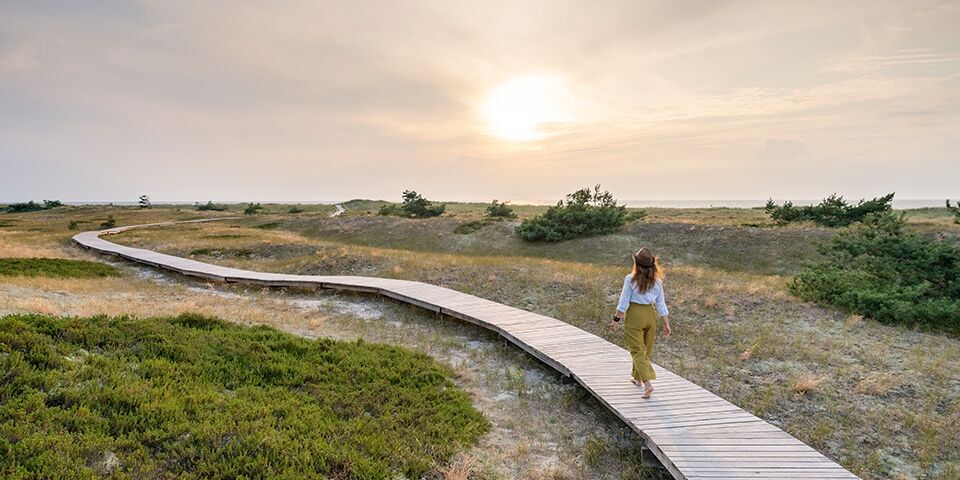 Ejemplo inspirador de fotografía paisajística al amanecer, mostrando la belleza natural para principiantes.