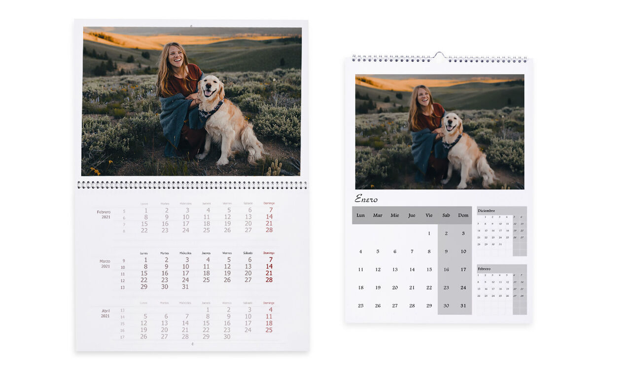 Una mujer sonríe en la naturaleza, junto a un labrador. El calendario muestra momentos personales.