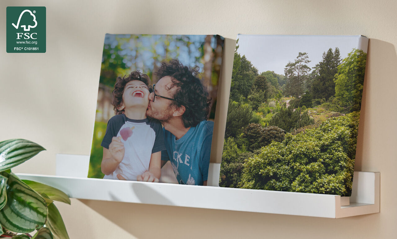 Dos álbumes fotográficos están en una estantería con un fondo verde.