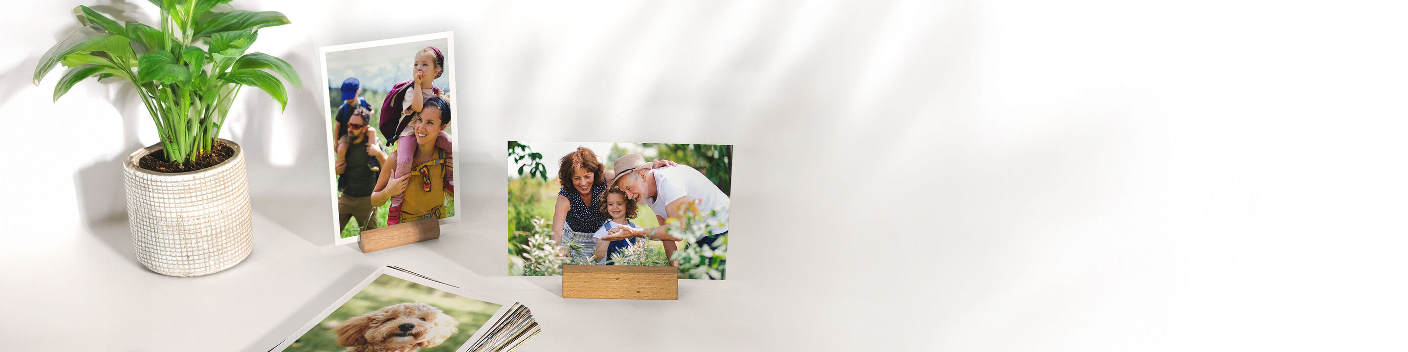 Imprime tus mejores fotos: revelado, cajas con fotos, fotos retro, ampliaciones, revelado ecológico y más productos.