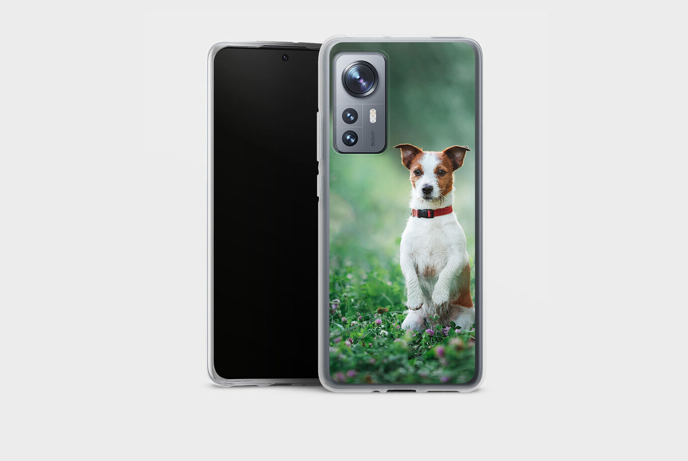 Un perro feliz se sienta en un prado en flor y sonríe.