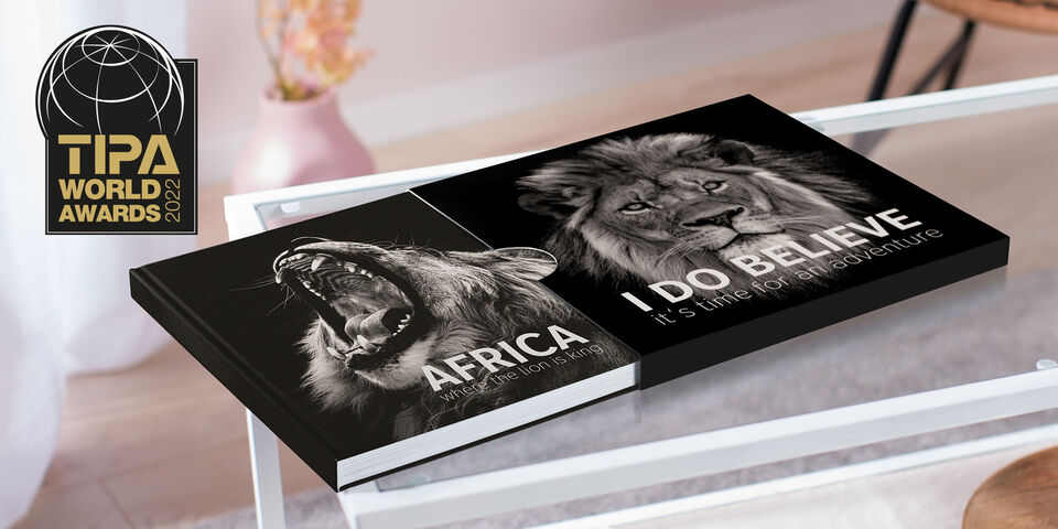 Dos álbumes de leones en una mesa, uno titulado 'África', el otro 'Creo en ello'.