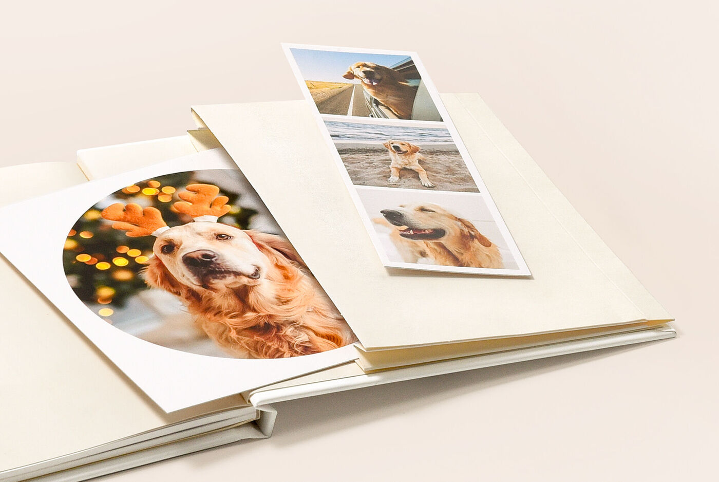 Compartimento para recuerdos para guardar memorias de tus viajes dentro del mismo álbum de fotos digital.