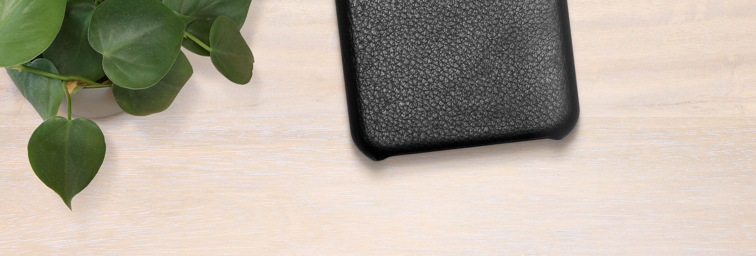 Un estuche negro texturizado sobre un fondo de madera clara, junto a una planta verde