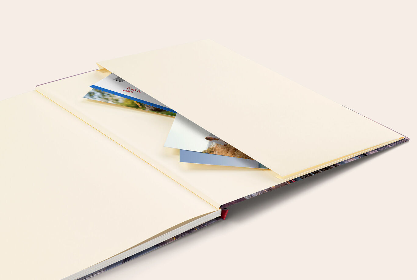 Compartimento de recuerdos para álbum de fotos