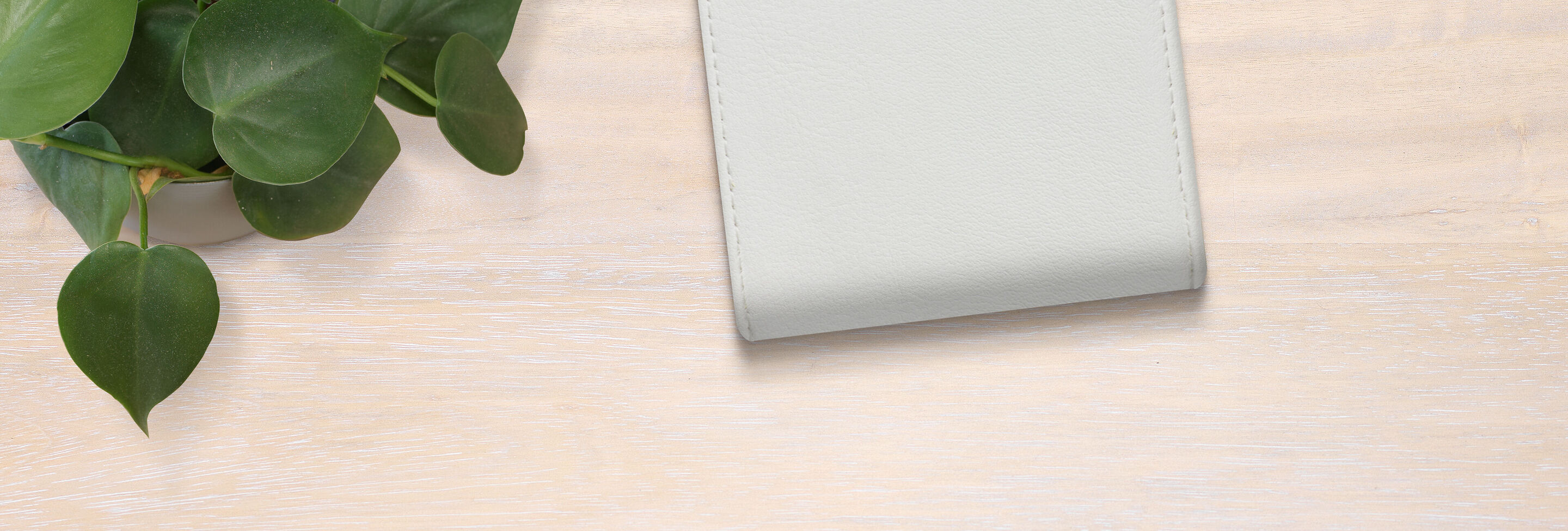 Un hermoso bloc de notas sobre una superficie de madera clara, rodeado de una planta verde.