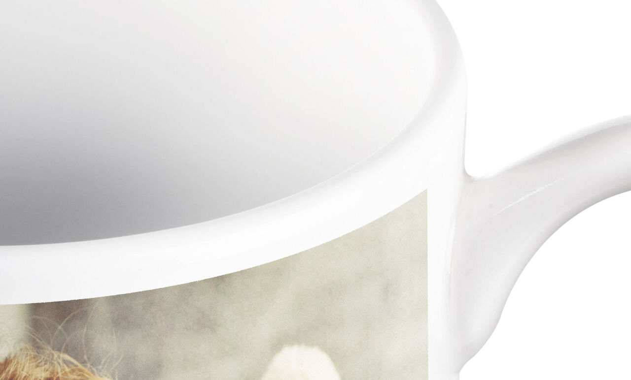 Taza