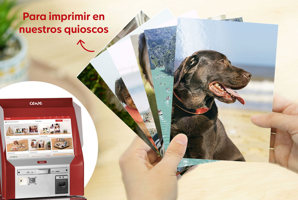 Una persona sostiene varias fotos de un perro y paisajes. Al fondo hay una impresora CEWE.