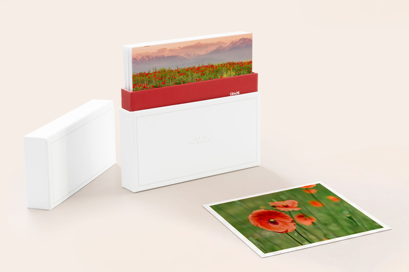 Fotos creativas cuadradas, un diseño y una caja especial para tus mejores fotos.