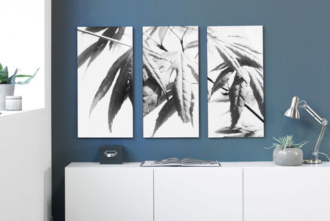 Tres grandes imágenes en blanco y negro de hojas cuelgan en una pared azul.
