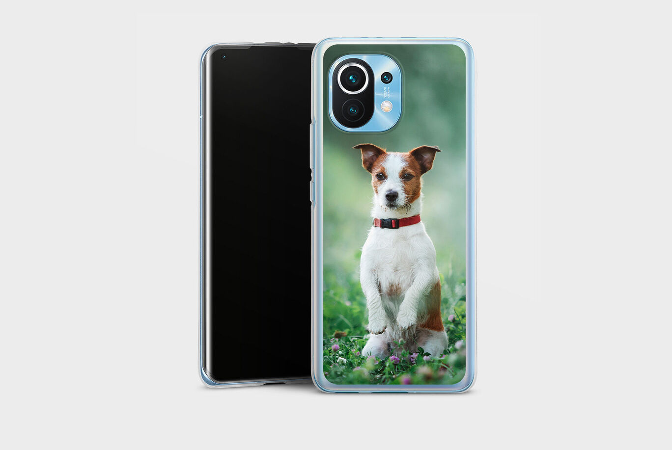 Un perro lindo se sienta orgulloso en un prado y sonríe. Lleva un collar rojo y tiene pelaje marrón y blanco.