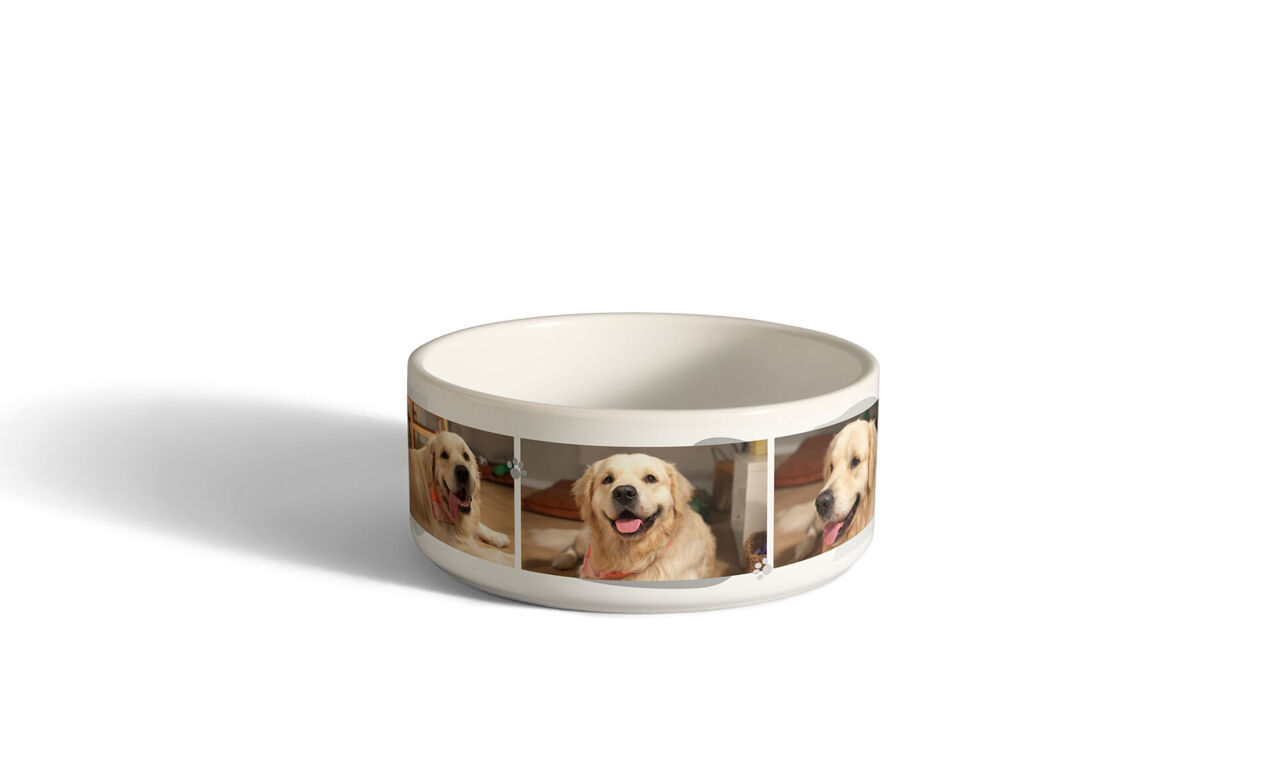 Comedero personalizado con varias fotos de perros