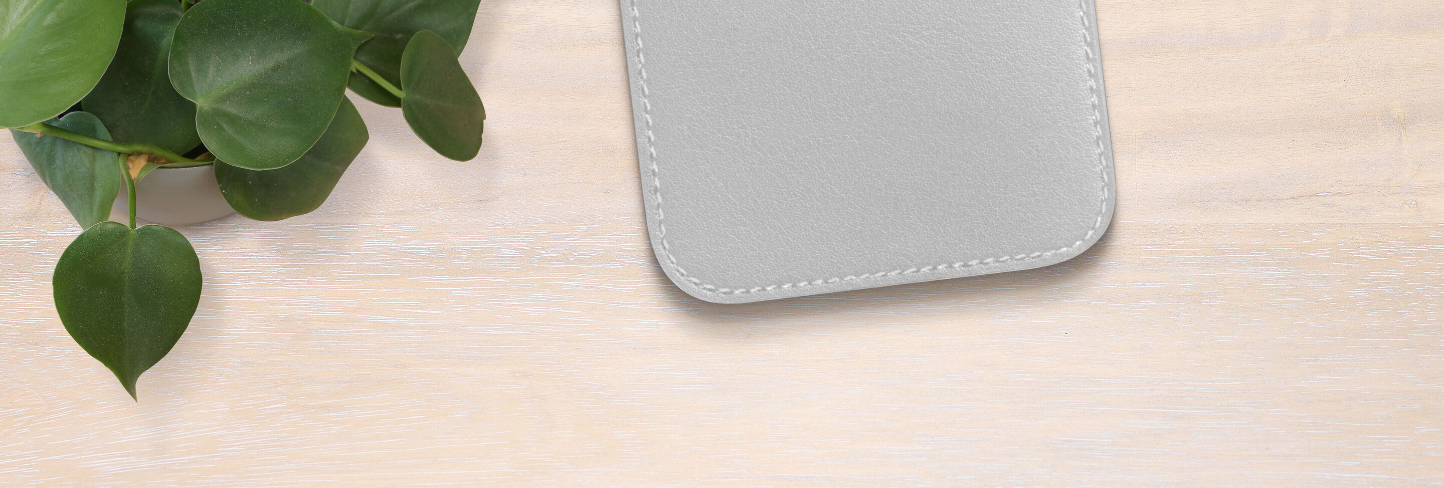 Un cuadrado gris reposa sobre una mesa clara junto a una planta.