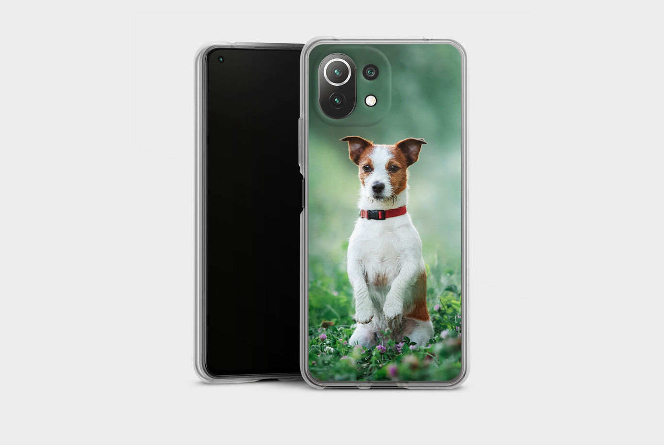 Un perro lindo se sienta en la hierba posando con un collar rojo. La imagen también muestra una funda de smartphone.