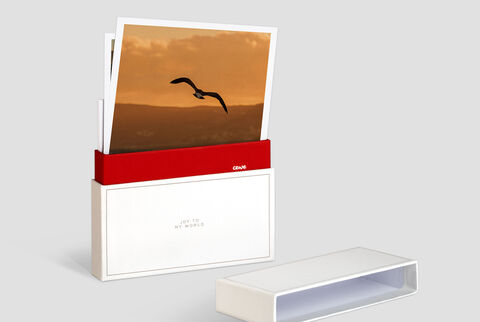 Un set elegante con imágenes y una caja rojo-blanca que emana alegría al compartir recuerdos.