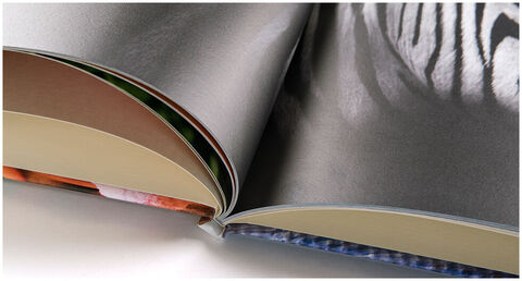 Páginas abiertas de un álbum de fotos con imágenes listas para contar historias.