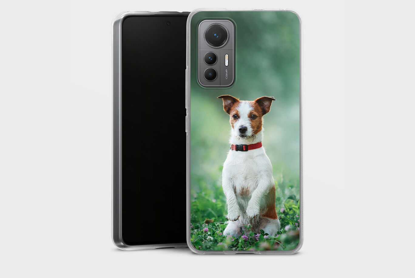 Perro con collar rojo se siente orgulloso en un prado.