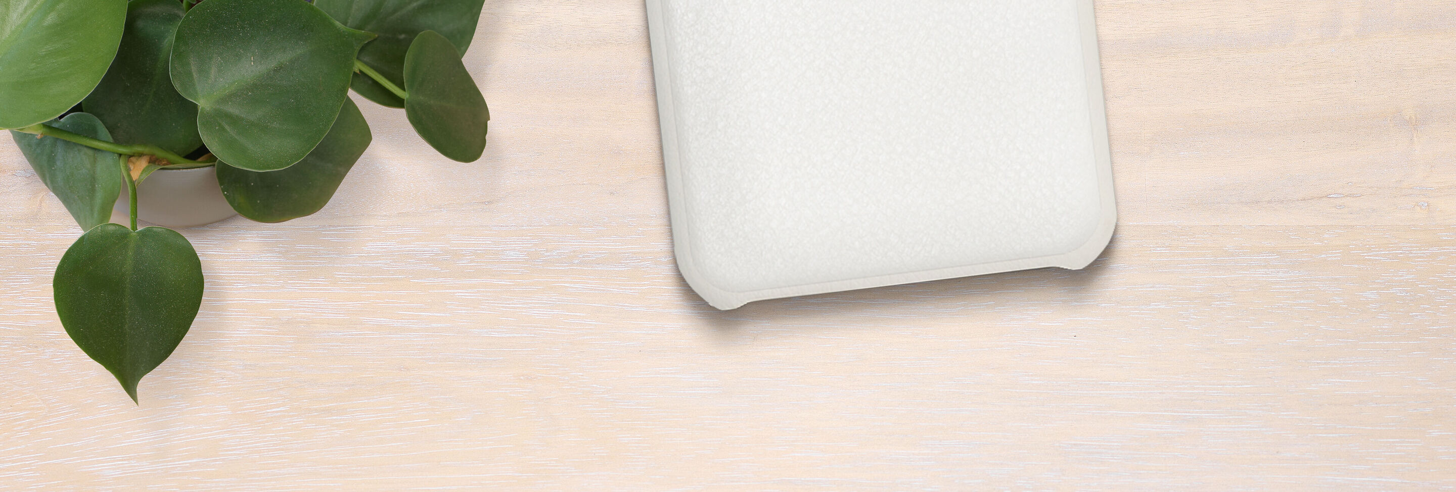 Funda de smartphone blanca sobre mesa clara con hojas verdes de fondo.