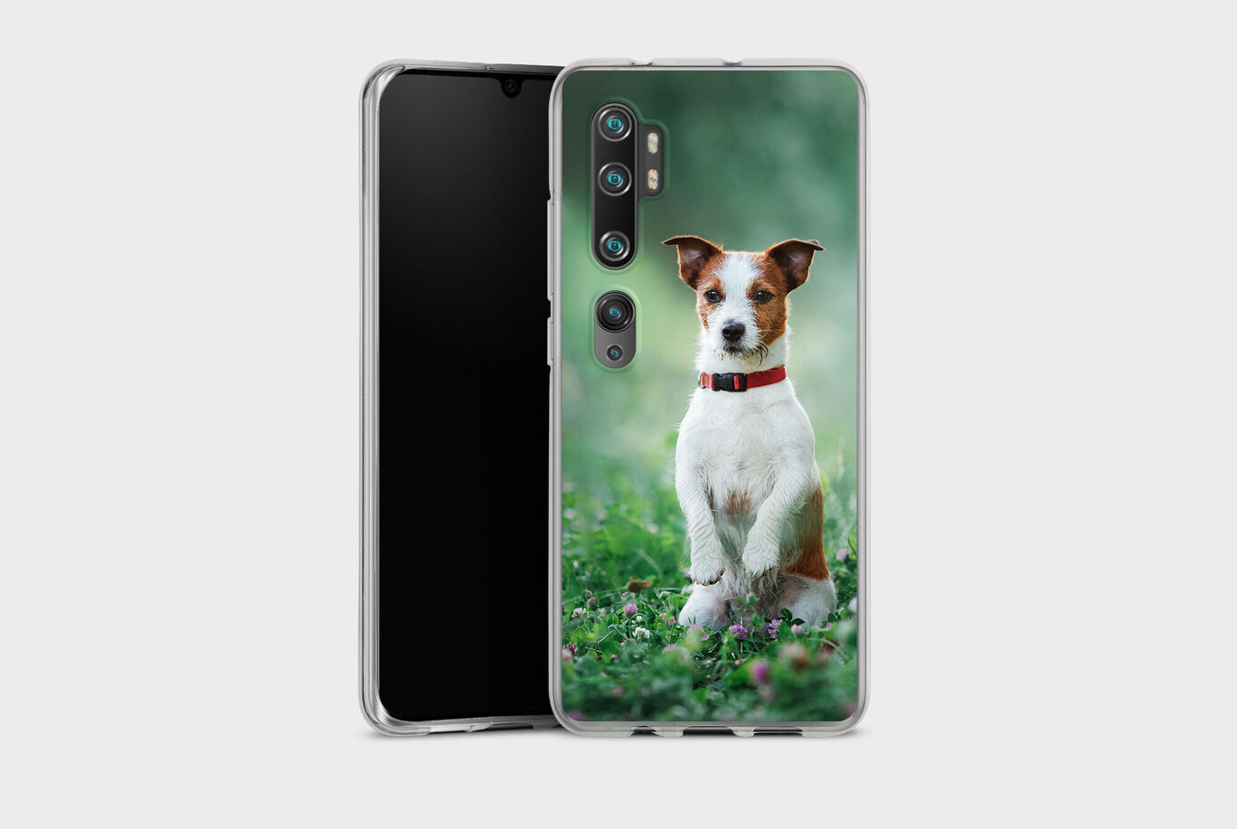 Un encantador perro en un campo verde, sentado feliz con un collar rojo.