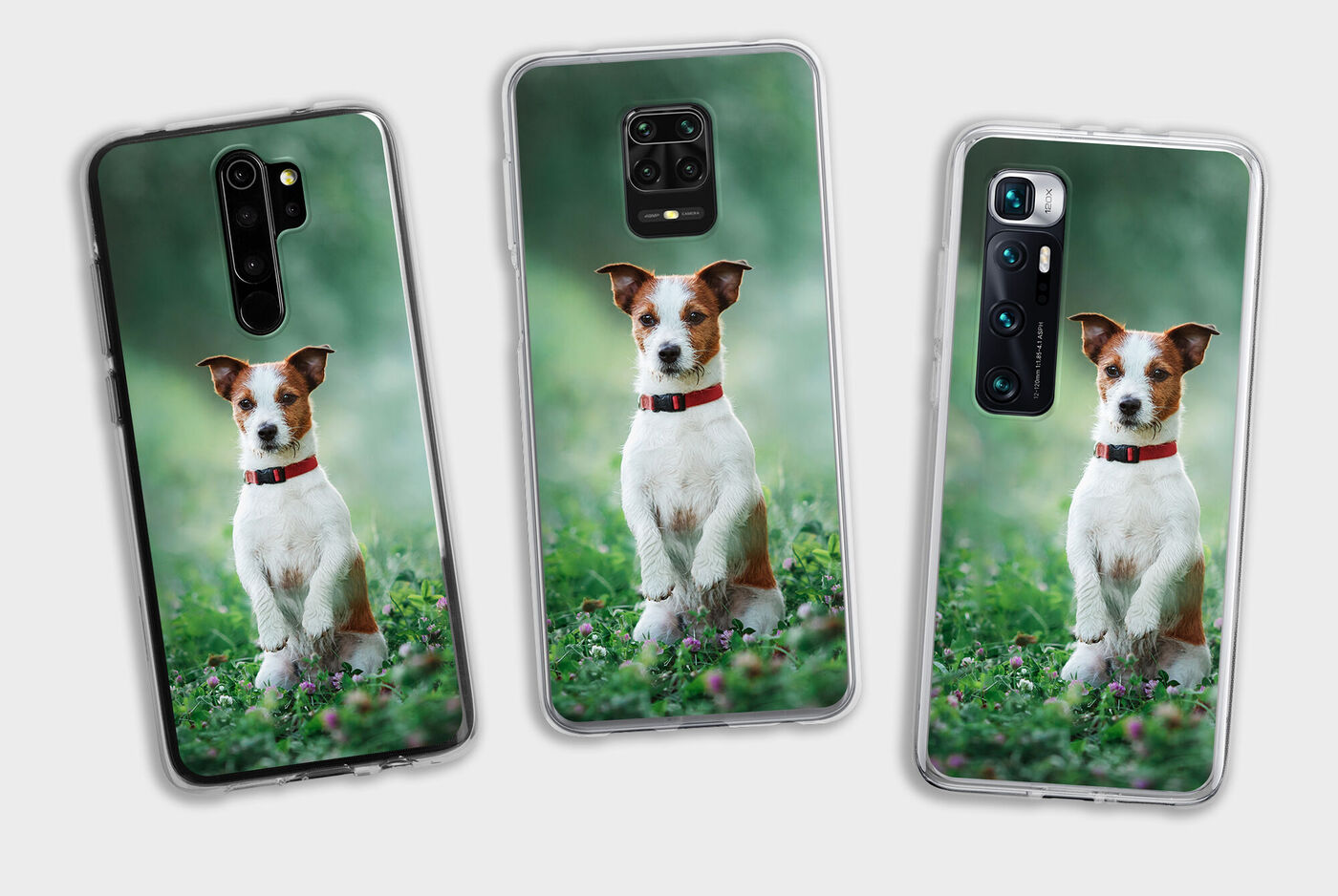 Tres fundas de teléfono con un perro en el prado. El perro está sentado y lleva un collar rojo.