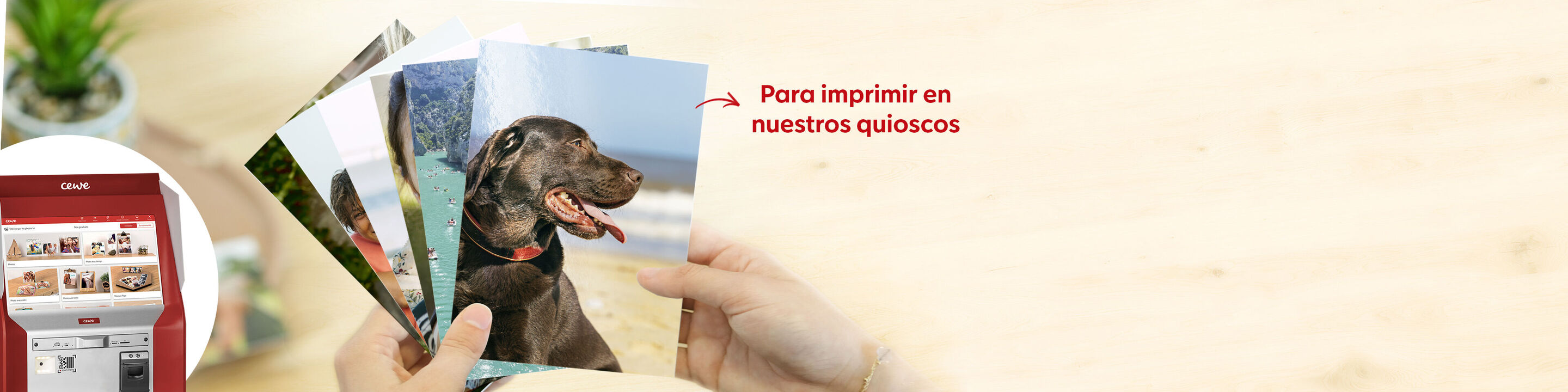 Manos sostienen varias fotos con motivos de naturaleza y un perro. Libro de fotos CEWE.