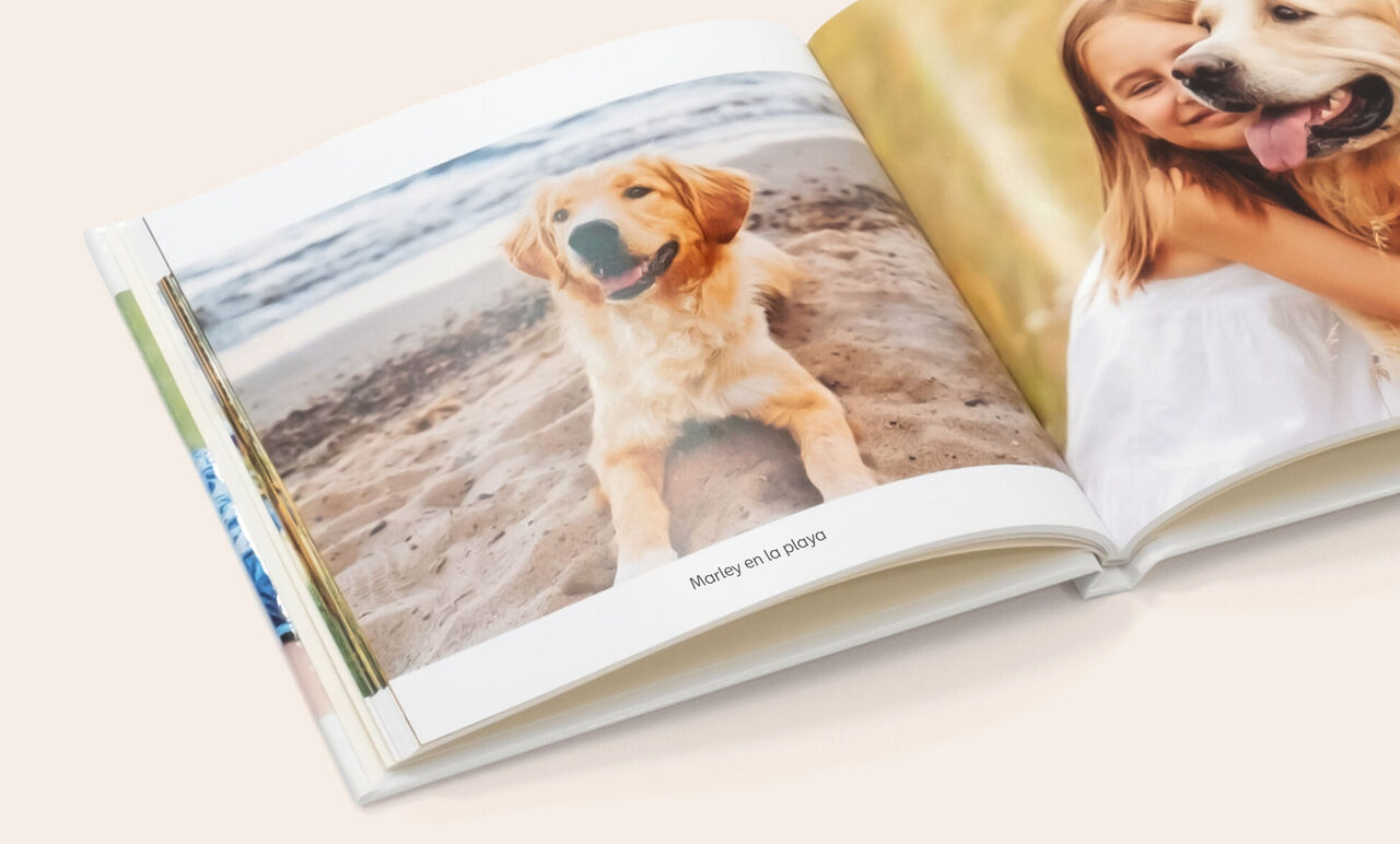 papel digital mate para álbum de foto pequeño cuadrado