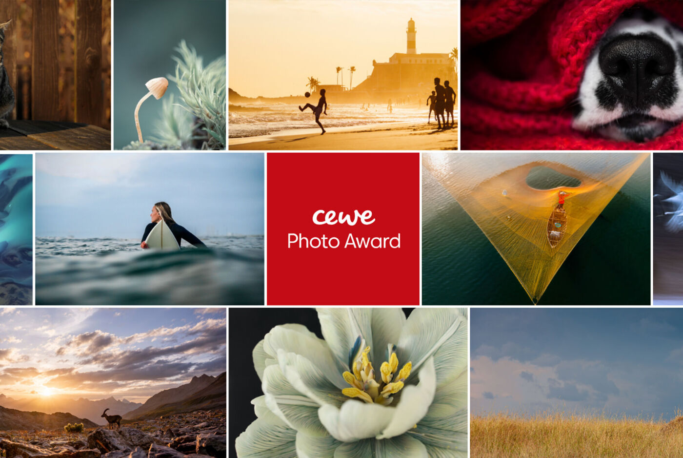Galería del CEWE Photo Award con quince fotografías variadas de naturaleza, paisajes, surf y vida animal en composición horizontal.