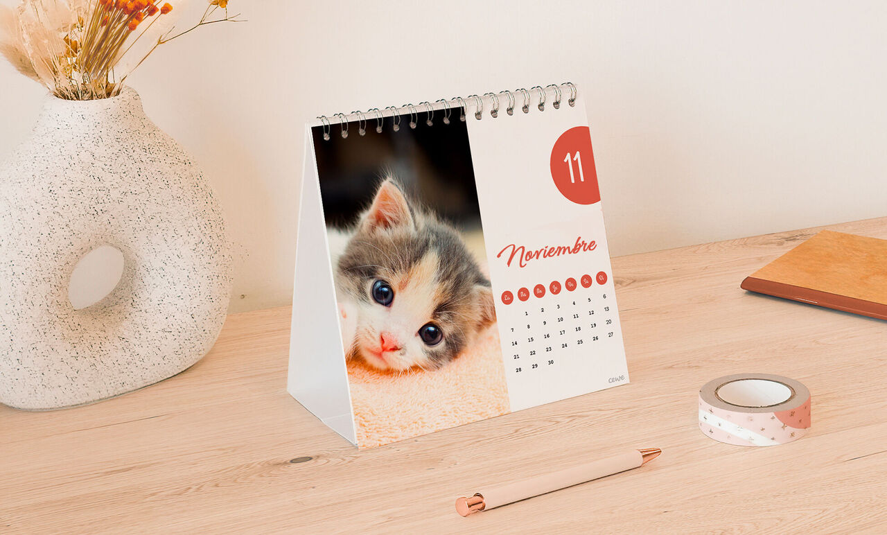 Calendario cuadrado con fotos para escritorio. Personalizado con la imagen de un gato pequeño.