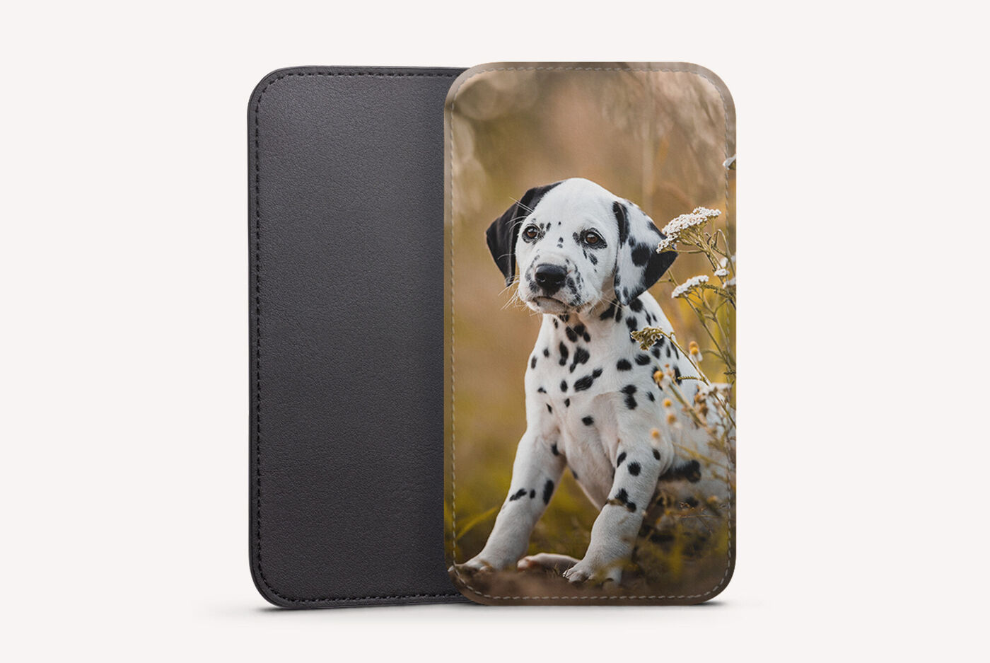 Un guapo cachorro dálmata está en pastos altos con flores.