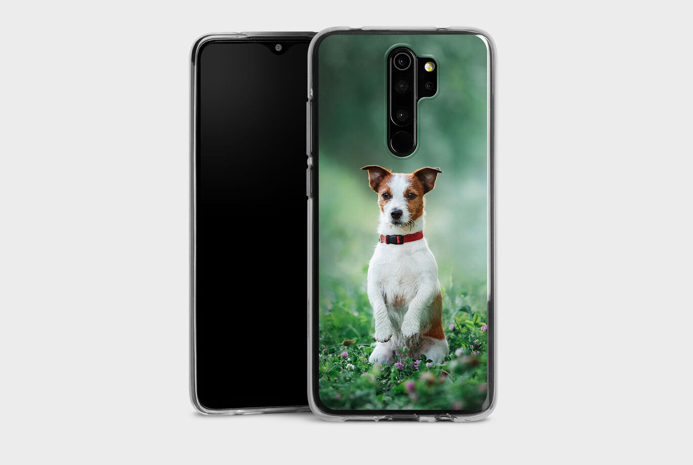 Foto de un perro feliz, marrón y blanco, con collar rojo, fondo natural desenfocado