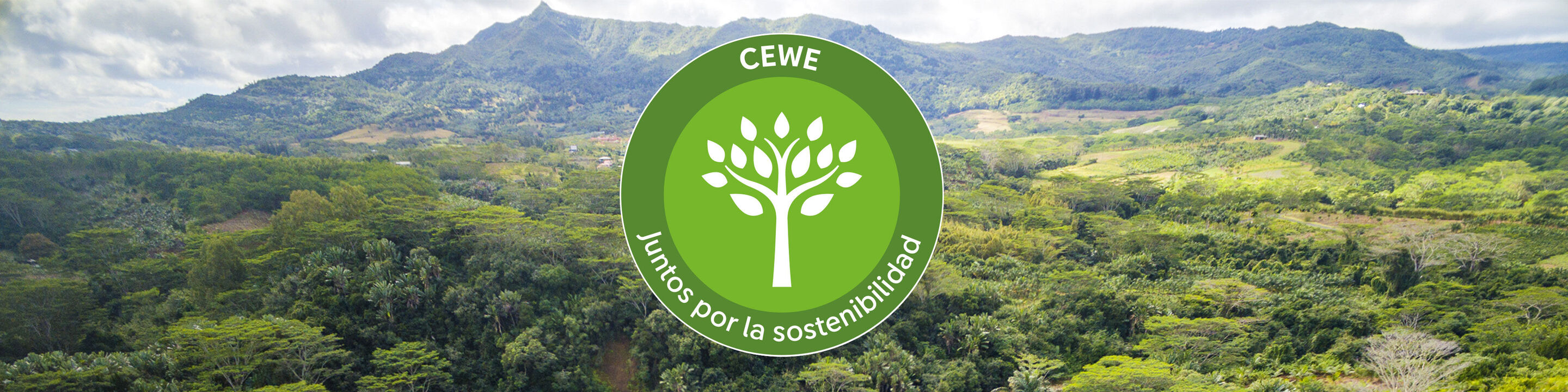 Logo de CEWE con diseño de árbol sobre un terreno verde ante un paisaje