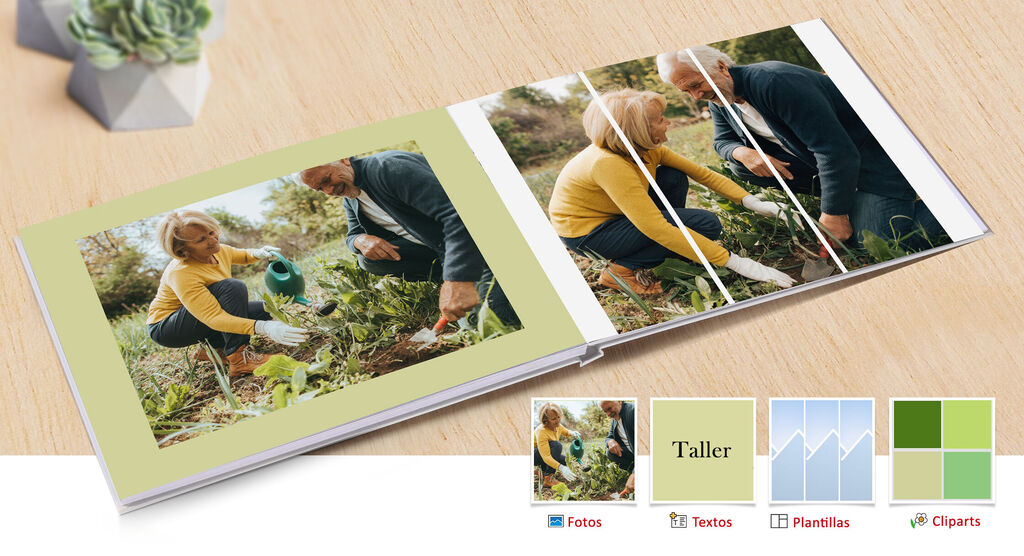 Dos personas jardineros en un álbum de fotos, regando plantas y desmalezando.