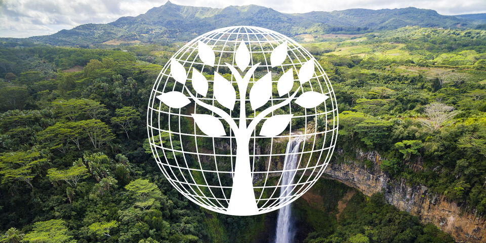 Un globo blanco con símbolo de árbol frente a un paisaje verde con cascada de fondo.