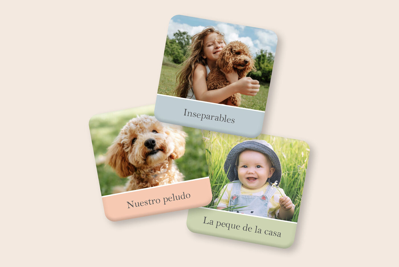 Empieza a crear los imanes directamente.