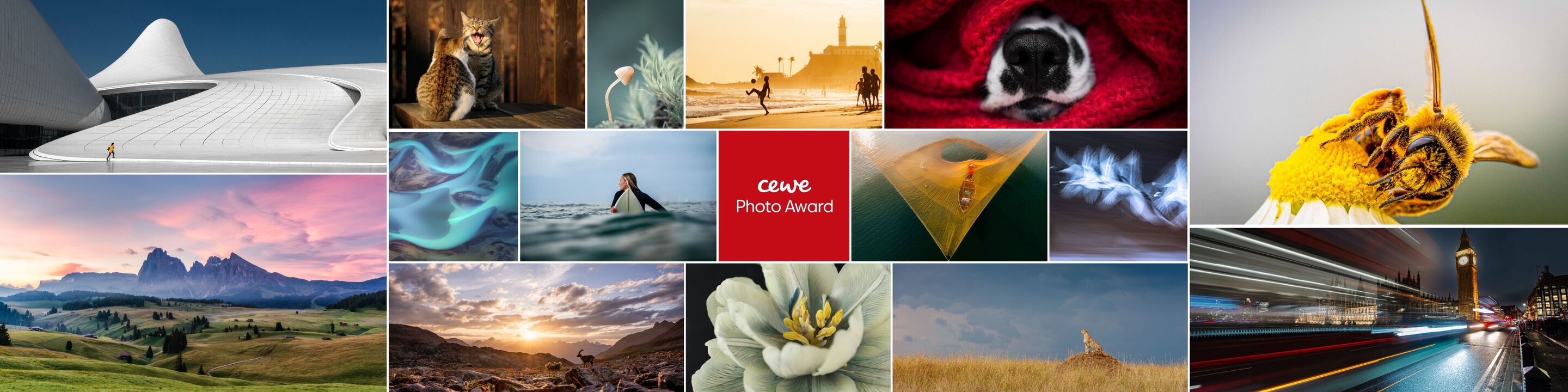 Galería del CEWE Photo Award con quince fotografías variadas de naturaleza, paisajes, surf y vida animal en composición horizontal.