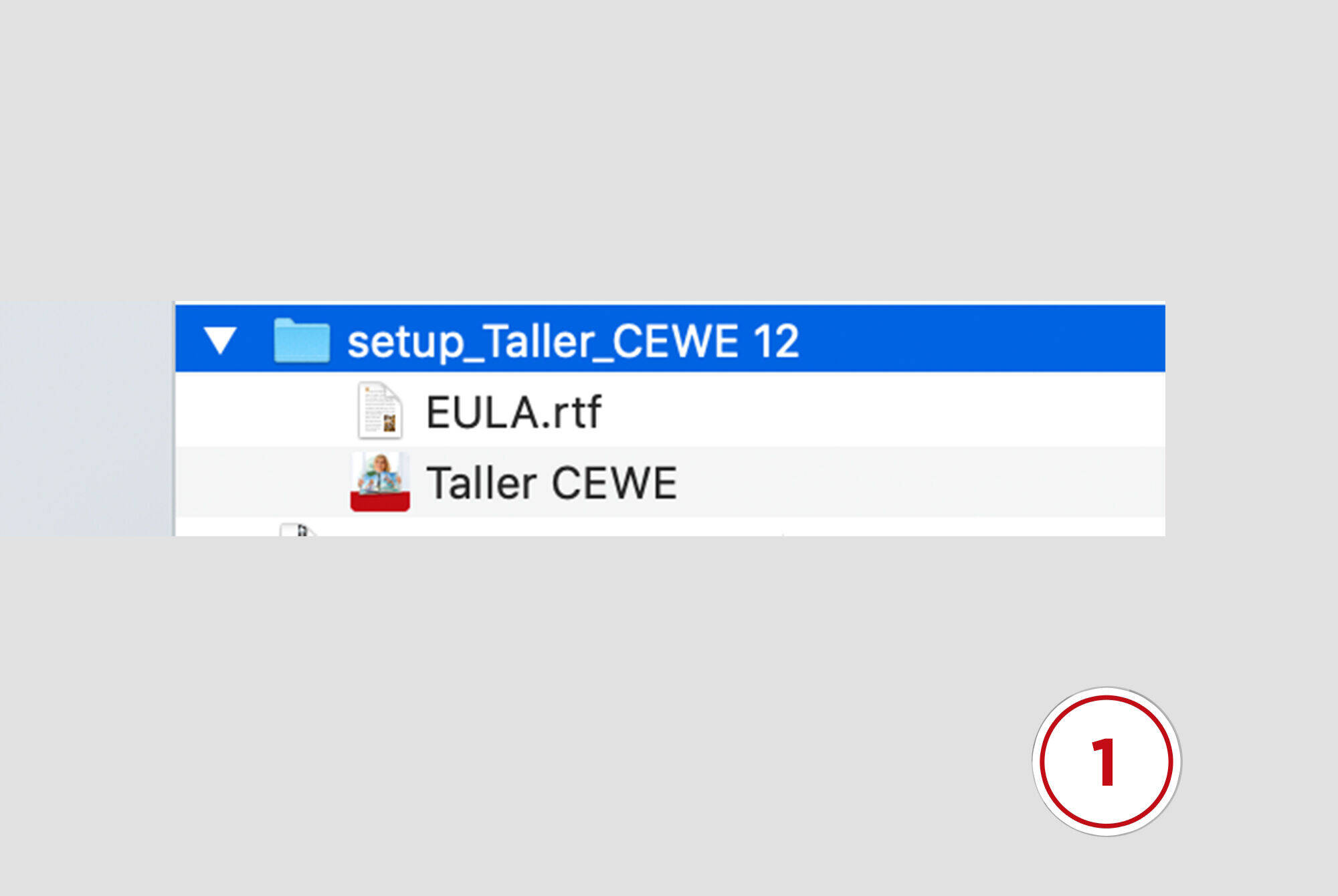 descarga programa cewe creacion albumes 2