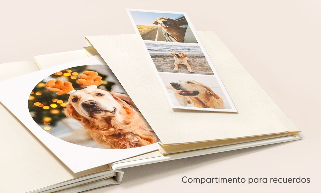 compartimento para recuerdos álbum de fotos pequeño cuadrado