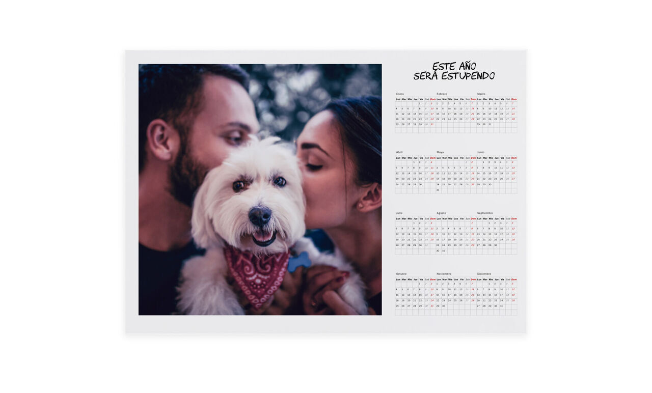 Calendario planificador personalizado anual 002
