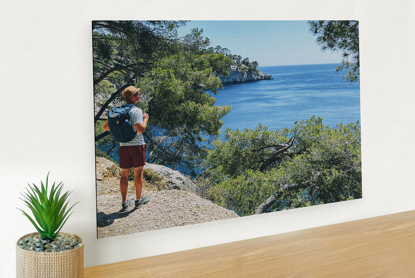Hombre contempla la costa del mar, rodeado de árboles.