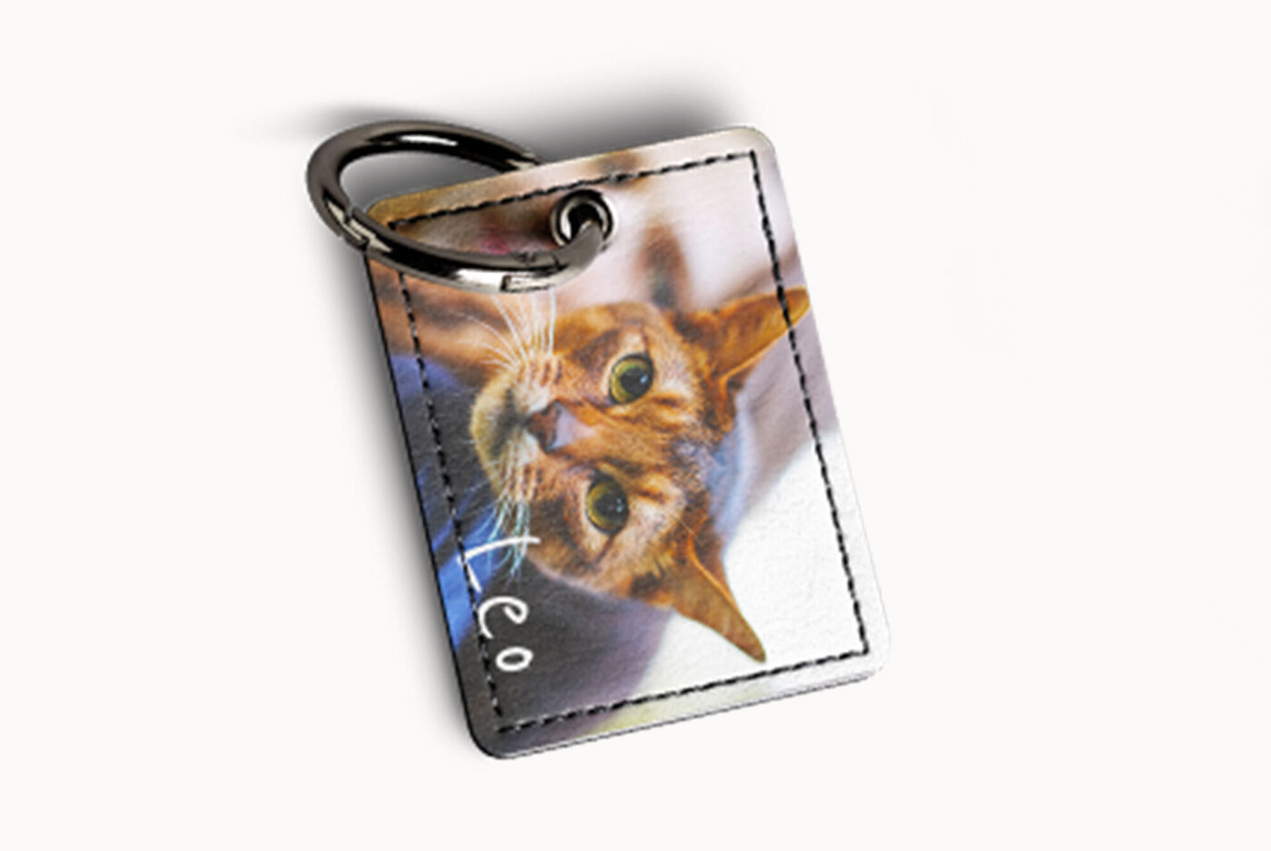 Llavero con foto de un gato relajado