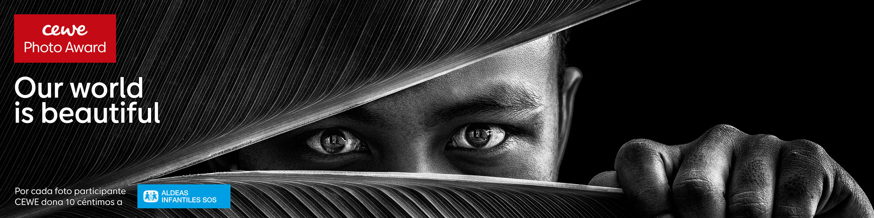 Un extracto del CEWE Photo Award con el lema 'Nuestro mundo es hermoso'.