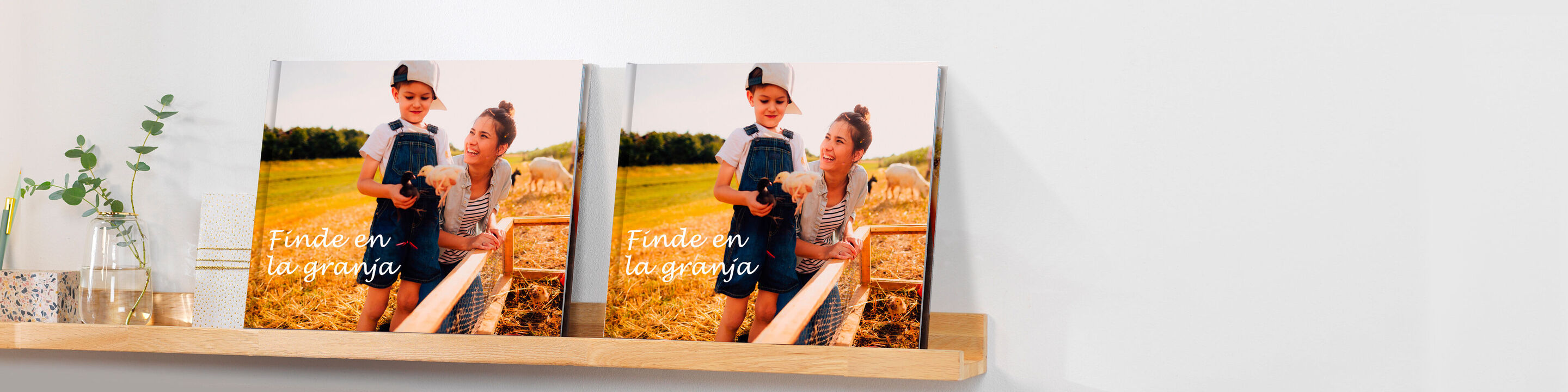 Dos CEWE Fotobücher están en una estantería con un elemento de planta verde al fondo.