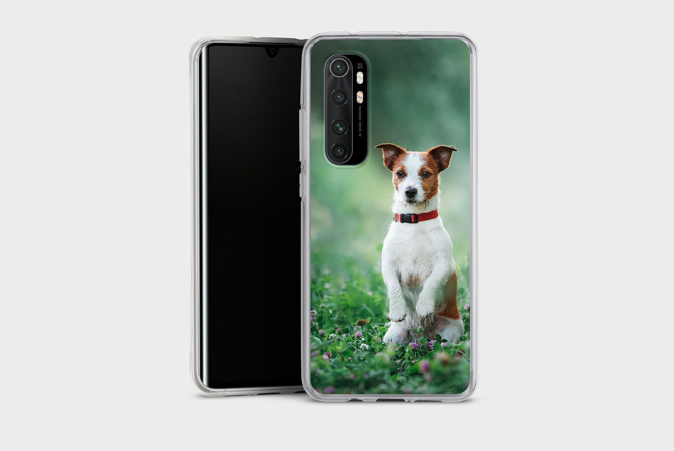 Un perro con un collar rojo se sienta en la hierba