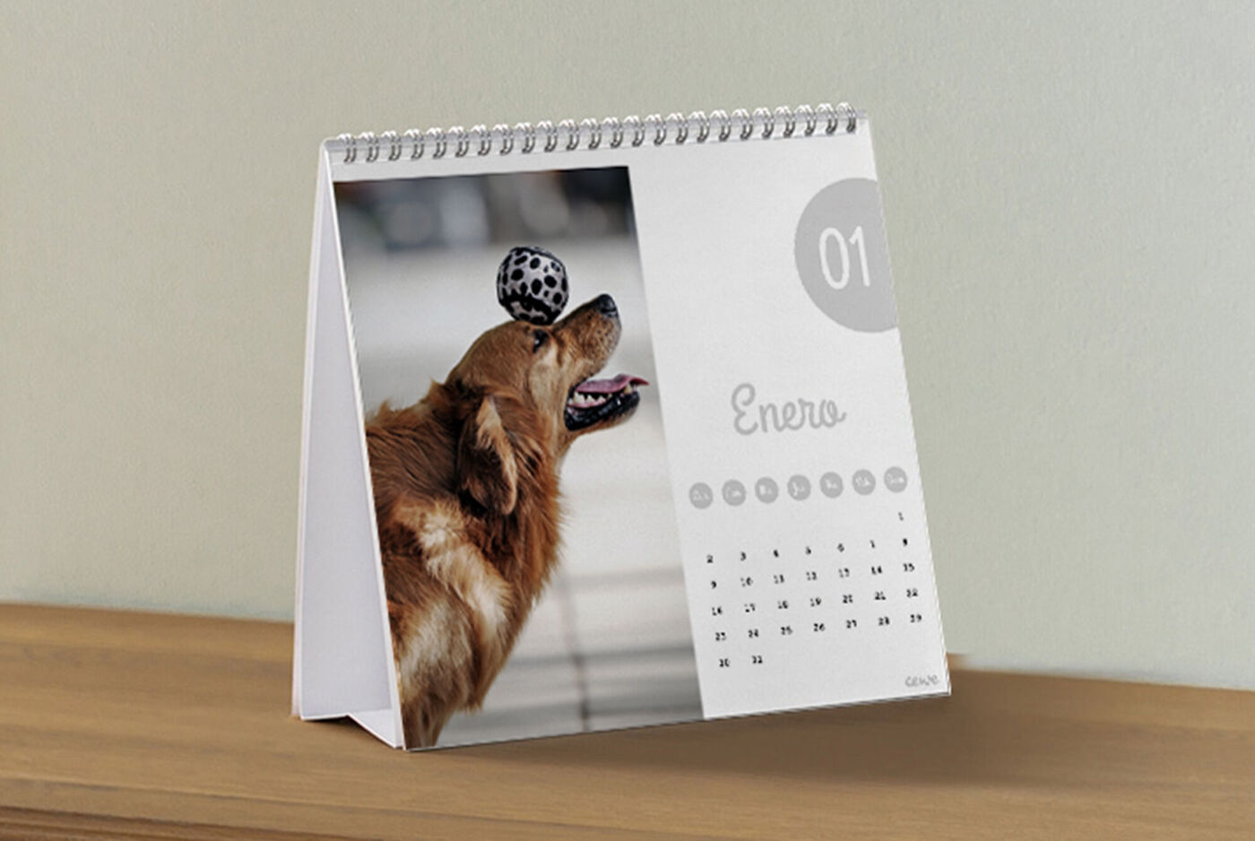 Un perro animado con una pelota en la boca mira felizmente hacia arriba. El calendario muestra enero.