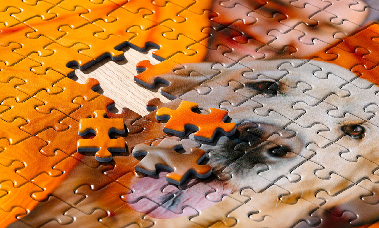 Detalle de un puzzle personalizado con foto de perro a medio armar, con piezas sueltas a juego sobre una superficie de madera.
