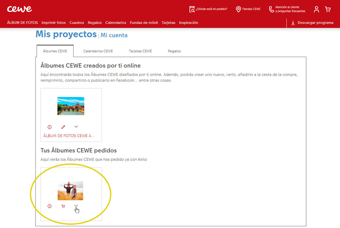 Captura de pantalla de la plataforma CEWE que muestra la creación de álbumes de fotos y otros proyectos.