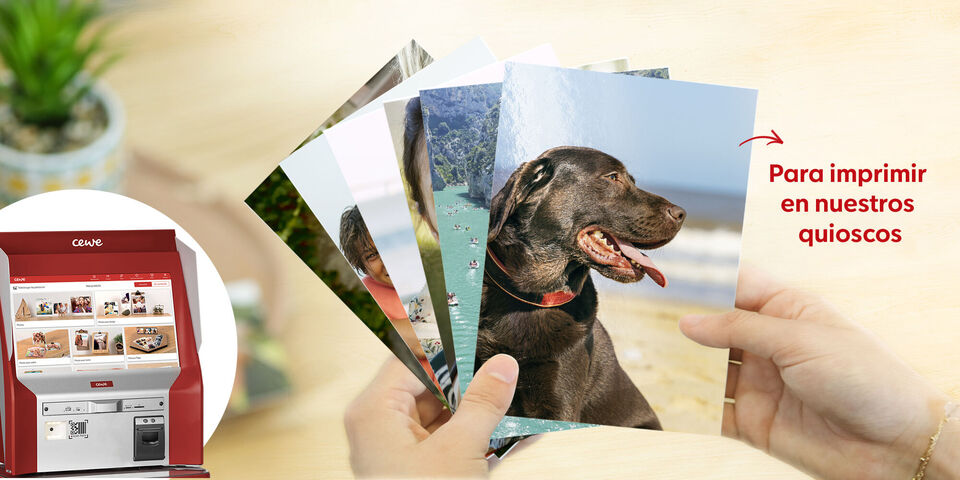 Una persona muestra varias fotos del perro jugando y en la playa.