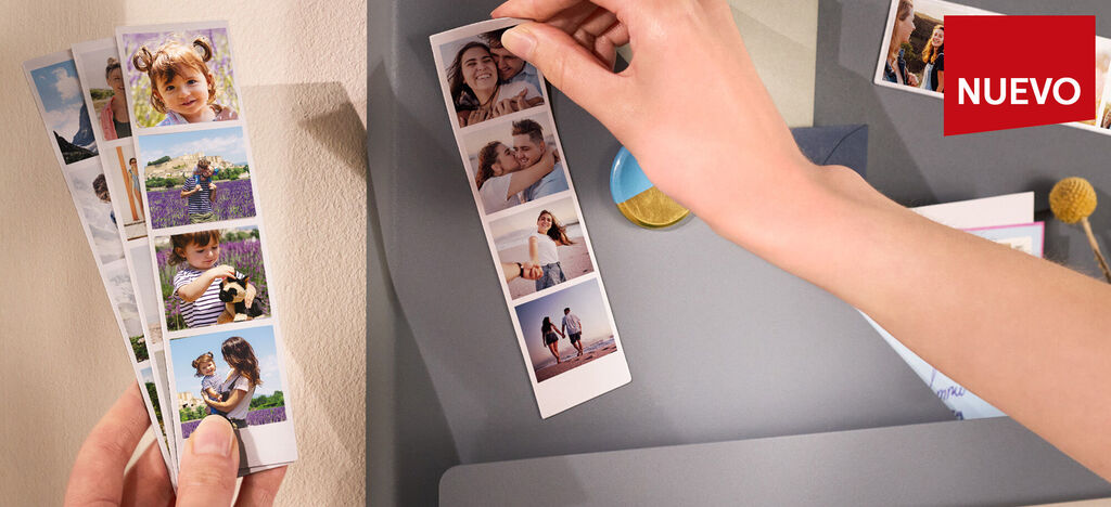 Alguien sostiene una tarjeta CEWE con hermosas fotos que muestran recuerdos.