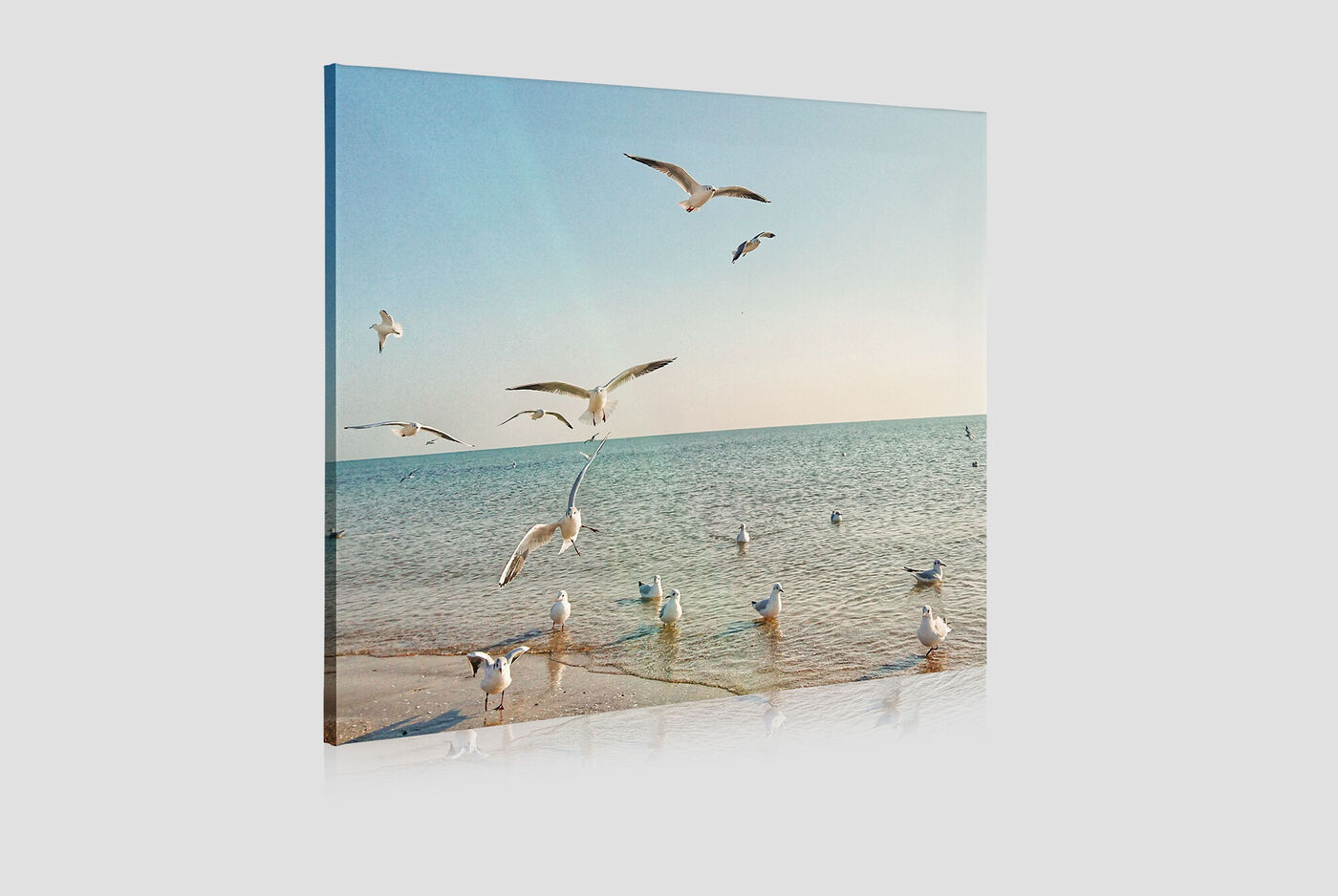 Pájaros vuelan sobre el agua brillante del mar al atardecer.