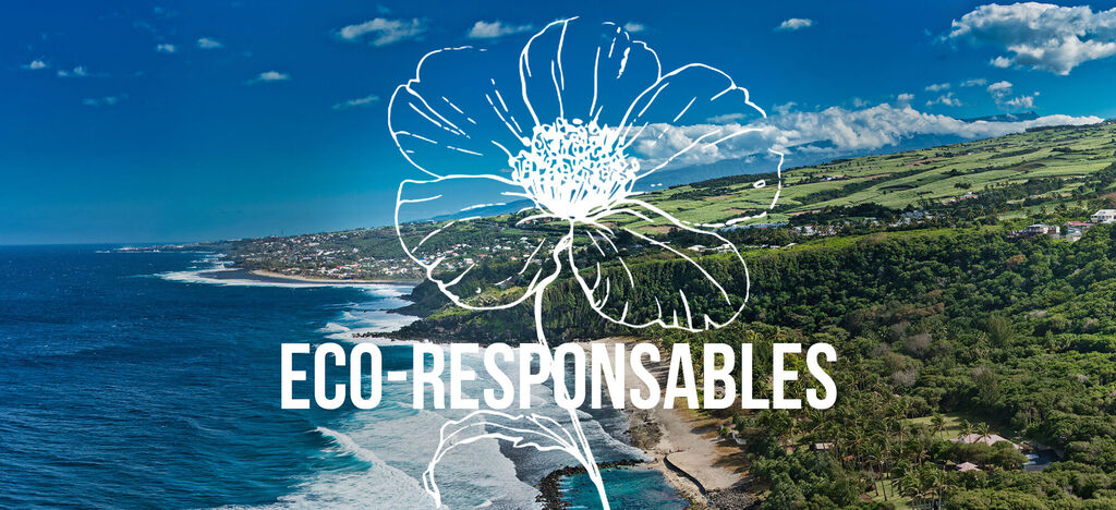 Paisaje con mar y dibujo de flores con el texto 'Eco Responsables'.